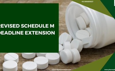 Revised Schedule M Deadline Extension: Latest Notification Draft G.S.R. 10(E)