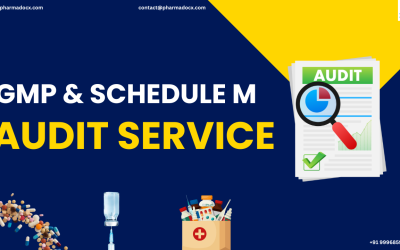 GMP and Schedule M Audit Service for Pharmaceutical Facilities