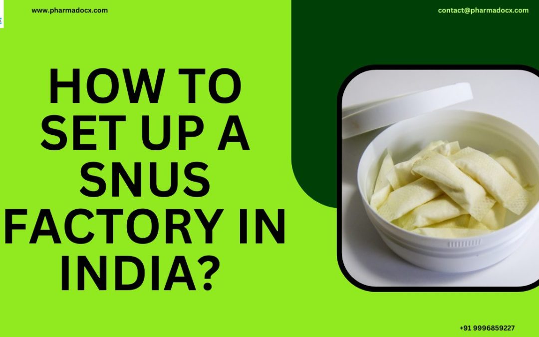 Setting Up a Snus Manufacturing Factory in India: A Comprehensive Guide