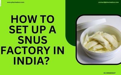 Setting Up a Snus Manufacturing Factory in India: A Comprehensive Guide