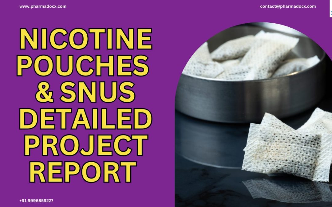 Comprehensive Nicotine Pouches and Snus Project Report