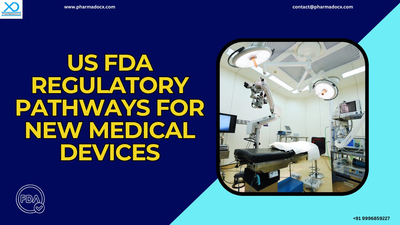 US FDA Regulatory Pathways for New Medical Devices