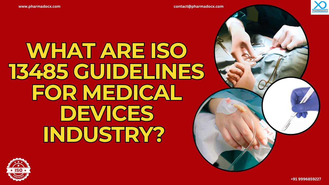 ISO 13485 Guidelines