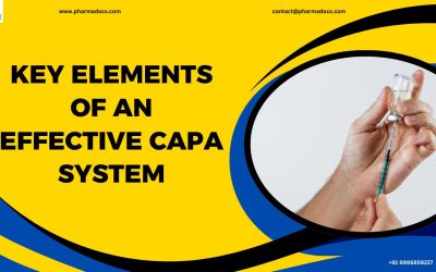 5 Key Elements of an Effective CAPA System