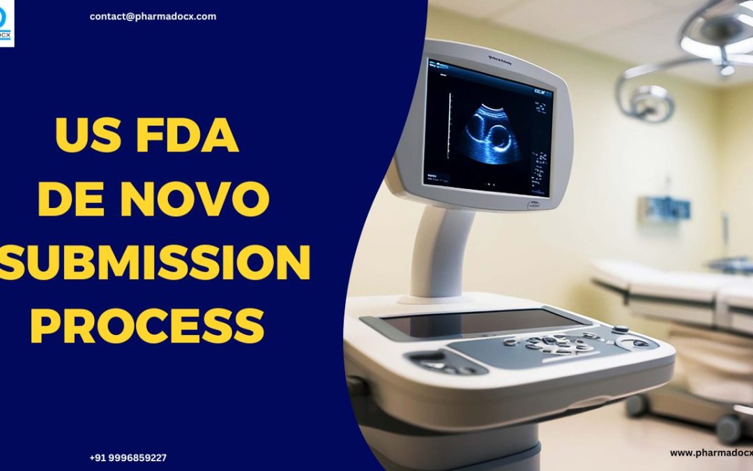 A Guide to US FDA De Novo Submission Process and Timeline
