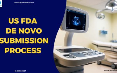 A Guide to US FDA De Novo Submission Process and Timeline