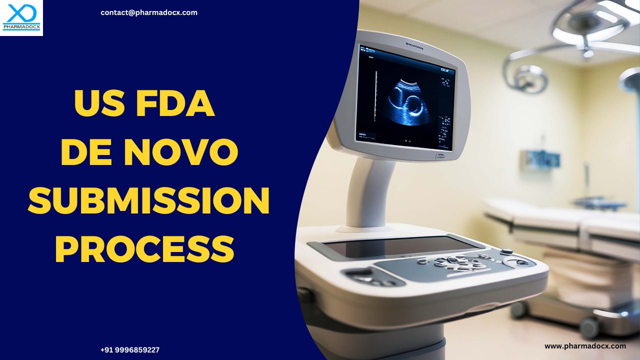 A Guide to US FDA De Novo Submission Process and Timeline
