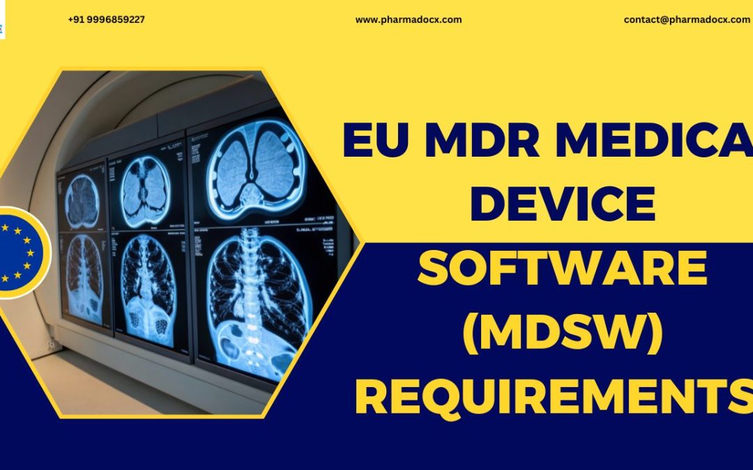 5 EU MDR Medical Device Software (MDSW) Requirements