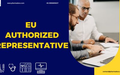 EU Authorized Representative: Roles & Responsibilities