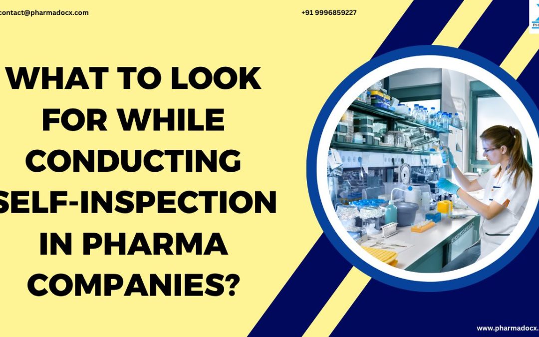 Self-Inspection in Pharma Companies: What to Look For?