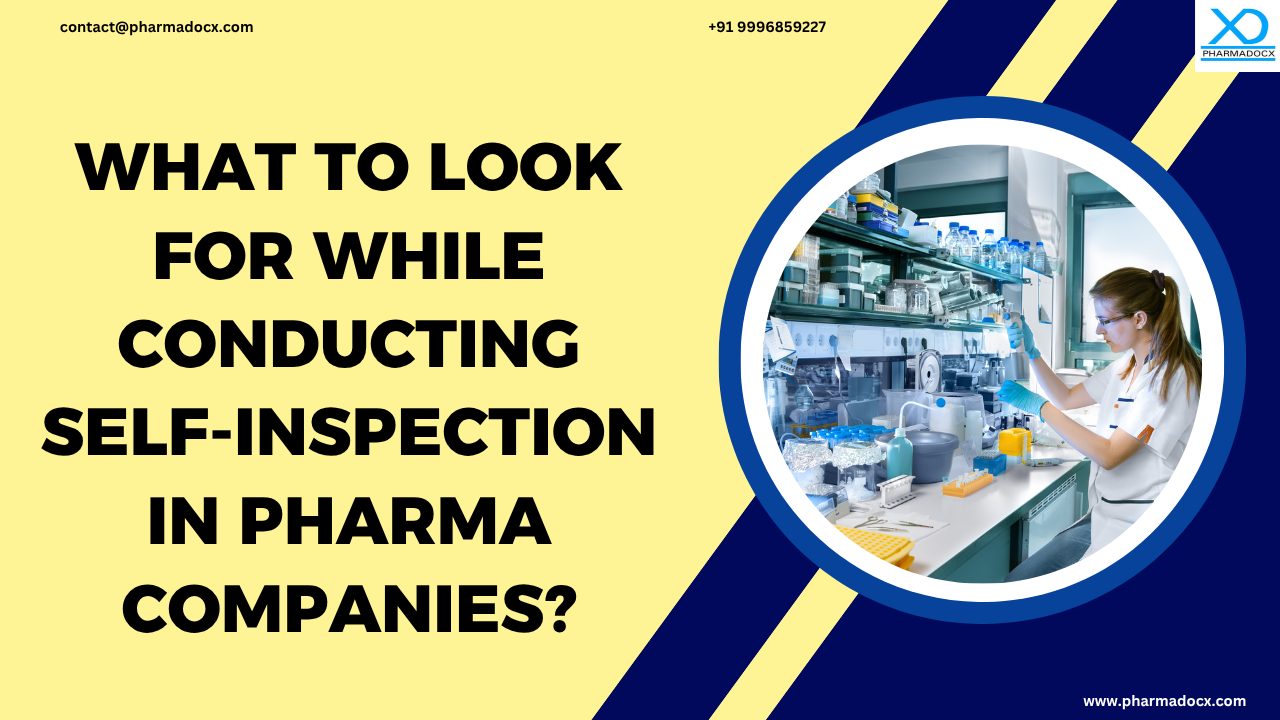 Self-Inspection in Pharma Companies