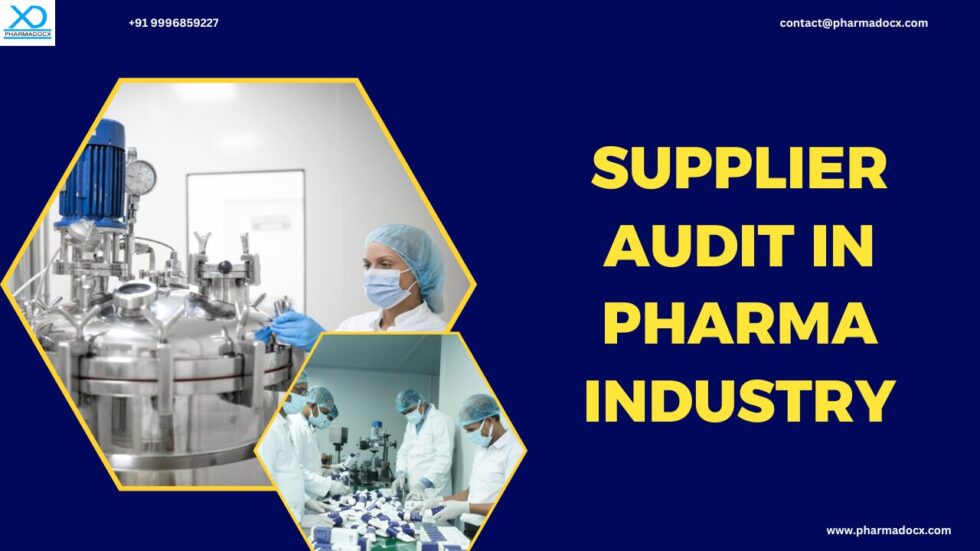 6-Step Guide to Conduct Supplier Audit in Pharma Industry - Pharmadocx ...