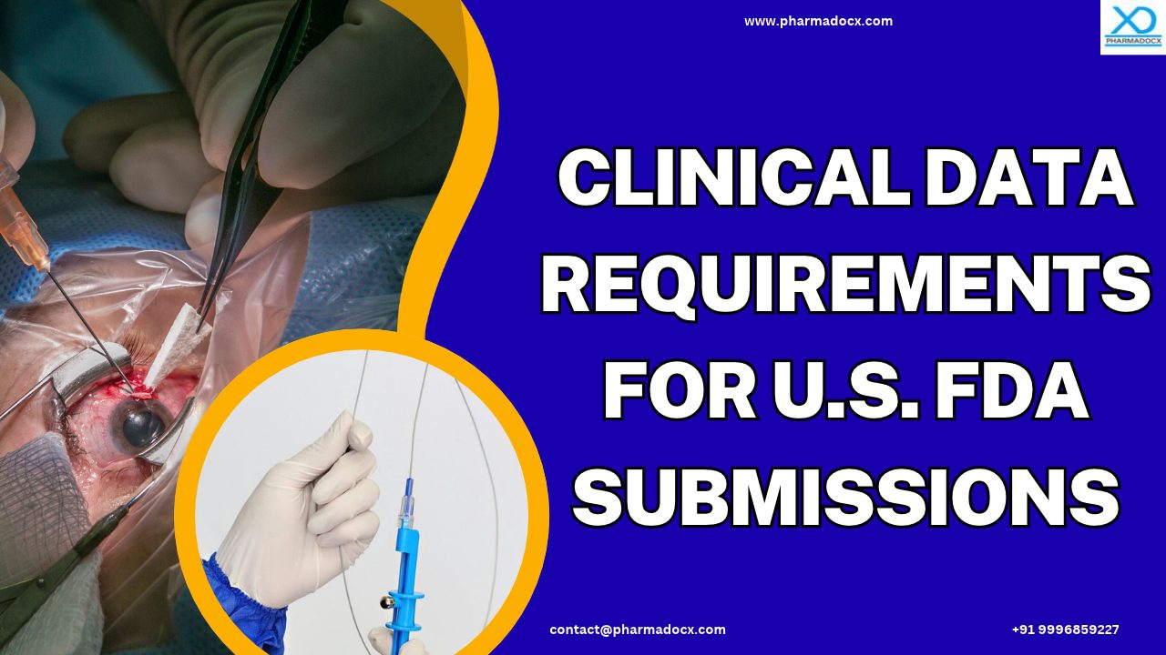 Clinical Data Requirements for U.S. FDA Submissions