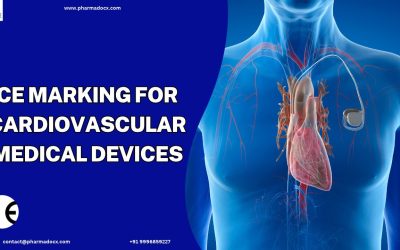 CE Marking for Cardiovascular Medical Devices: Your Guide