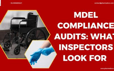 MDEL Compliance Audits: What Inspectors Look For